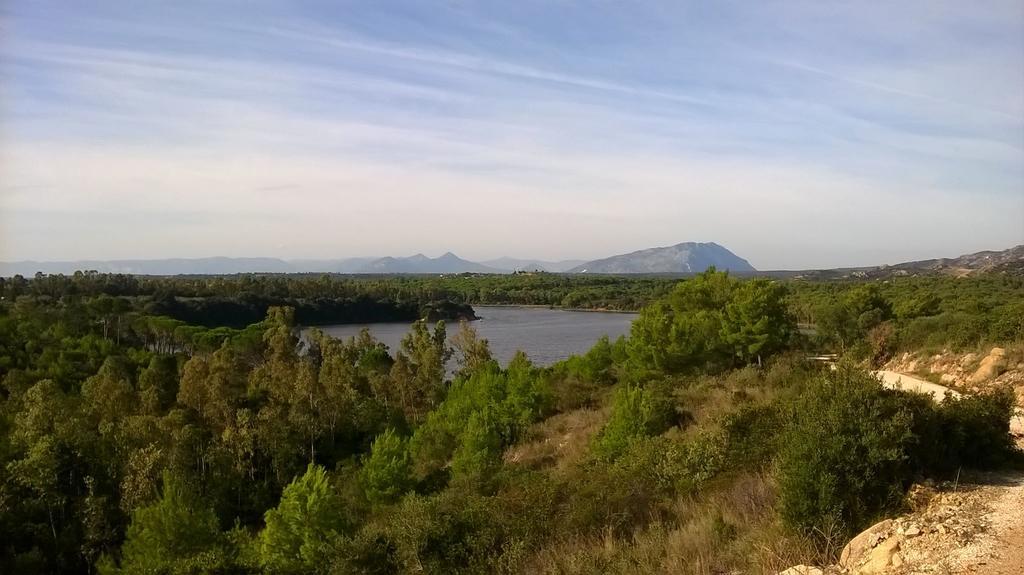 Appartamento Gli Ontani Cala Liberotto Exterior foto
