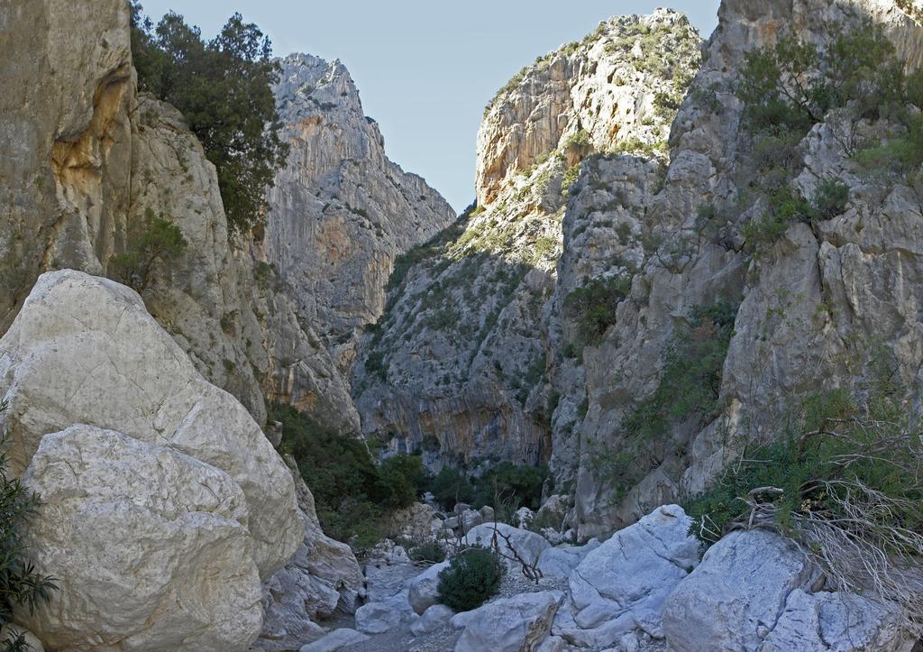 Appartamento Gli Ontani Cala Liberotto Zimmer foto